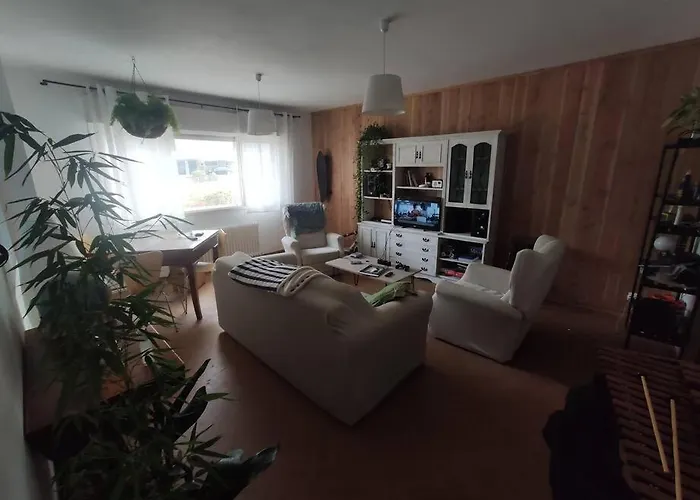 Mira A Parque * 卢戈